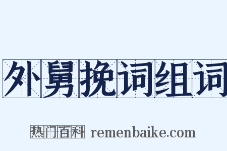 外舅挽词组词是什么意思的图片